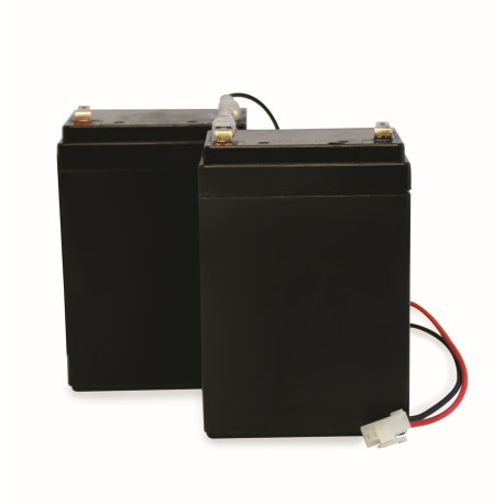 Kit de 2 baterías de recambio BatteryGate 2 - compatible MBA0095 - SCS Sentinel